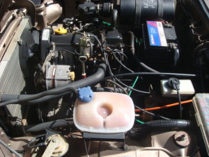 91