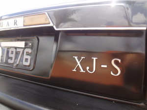 DSC07976